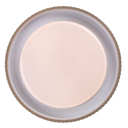 Rabalux - LED-dimmbare Deckenleuchte LED/48W/230V 3000-6500K Ø 49,5 cm + Fernbedienung