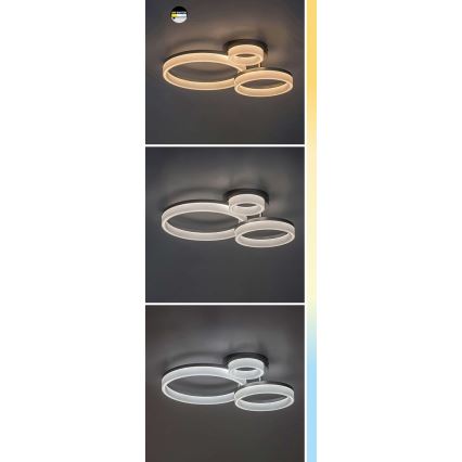 Rabalux - LED-Deckenleuchte LED/24W/230V 3000/4000/6500K golden