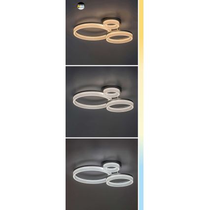 Rabalux - LED-Deckenleuchte LED/24W/230V 3000/4000/6500K schwarz