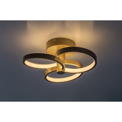 Rabalux - dimmbare LED-Deckenleuchte LED/32W/230V 3000-6500K Ø 31 cm beige + Fernbedienung