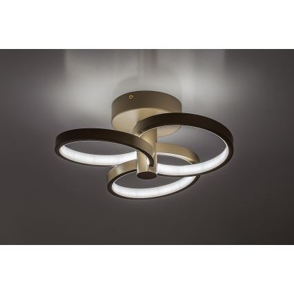 Rabalux - dimmbare LED-Deckenleuchte LED/32W/230V 3000-6500K Ø 31 cm beige + Fernbedienung