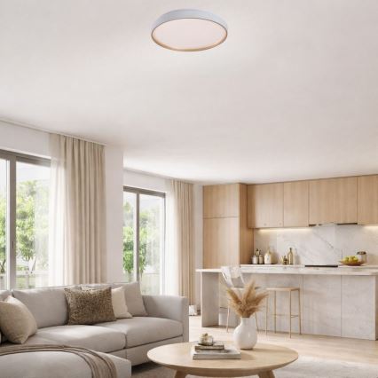 Rabalux - LED-dimmbare Deckenleuchte LED/34W/230V 3000-6500K Ø 38 cm + Fernbedienung