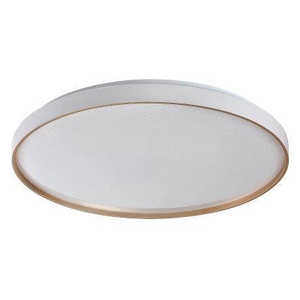 Rabalux - Dimmbare LED-Deckenleuchte 60W/230V 3000-6500K Ø 58 cm + Fernbedienung