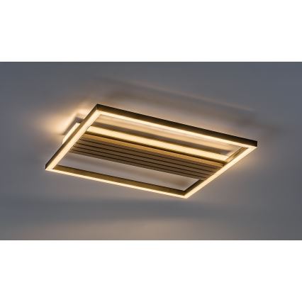 Rabalux - LED-Deckenleuchte LED/30W/230V 3000/4500/6000K