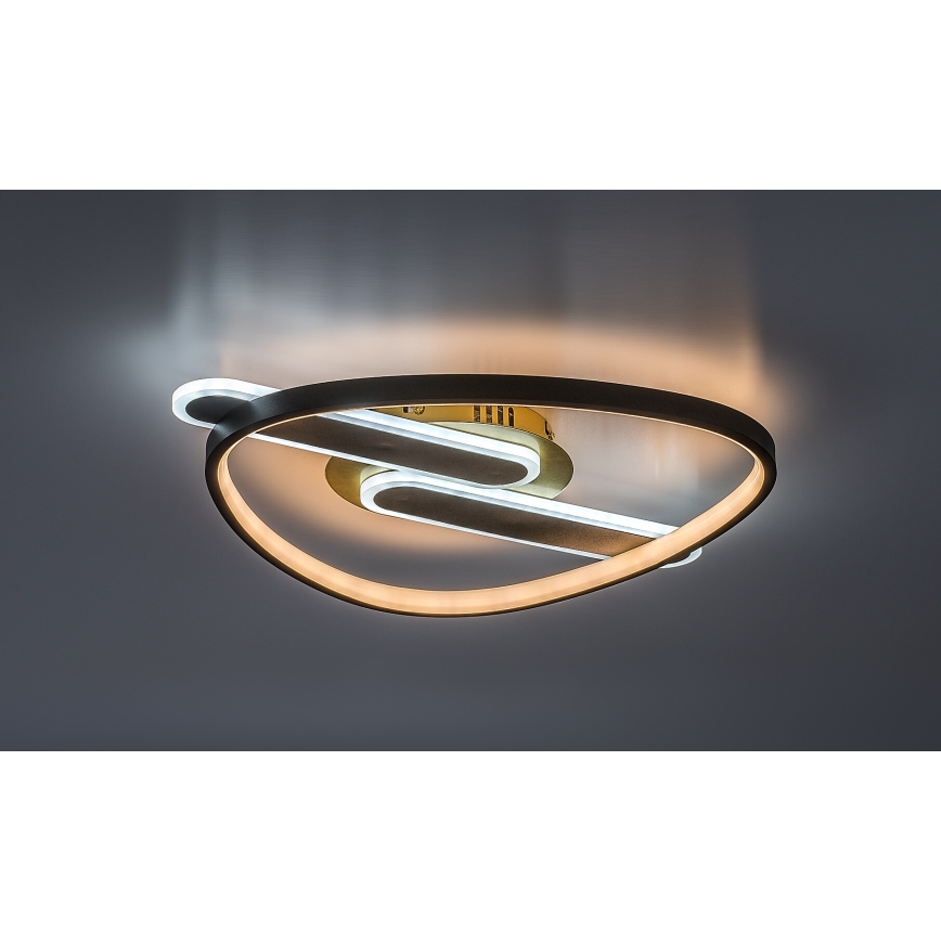 Rabalux - LED-dimmbare Deckenleuchte LED/60W/230V 3000-6000K 53x45 cm + Fernbedienung