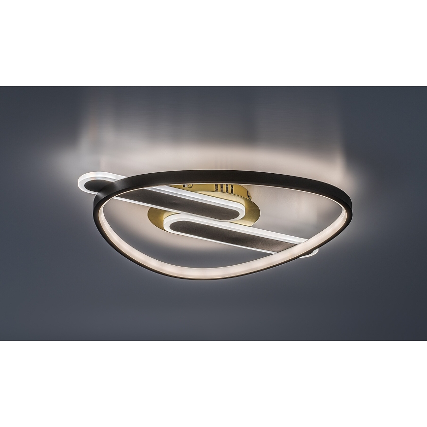 Rabalux - LED-dimmbare Deckenleuchte LED/60W/230V 3000-6000K 53x45 cm + Fernbedienung