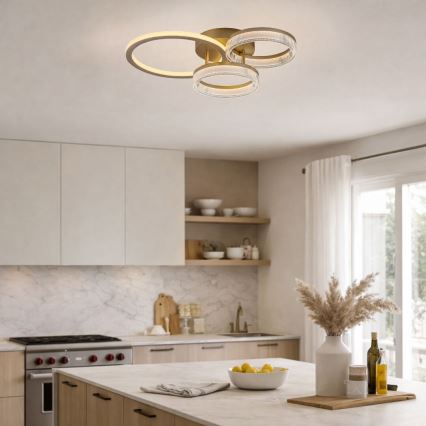 Rabalux - LED dimmbare Deckenleuchte LED/38W/230V 3000-6500K 58,5x38 cm + Fernbedienung