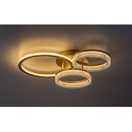 Rabalux - LED dimmbare Deckenleuchte LED/38W/230V 3000-6500K 58,5x38 cm + Fernbedienung