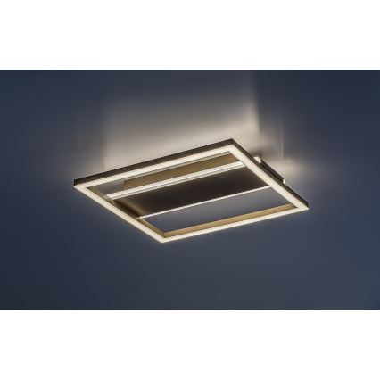 Rabalux - LED-Deckenleuchte LED/24W/230V 33x33 cm
