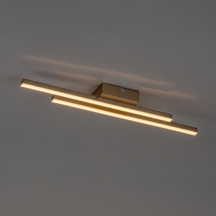 Rabalux - LED-Deckenleuchte LED/12W/230V 3000K goldfarben