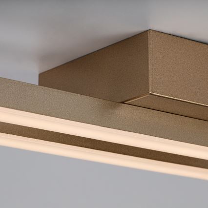 Rabalux - LED-Deckenleuchte LED/12W/230V 3000K goldfarben
