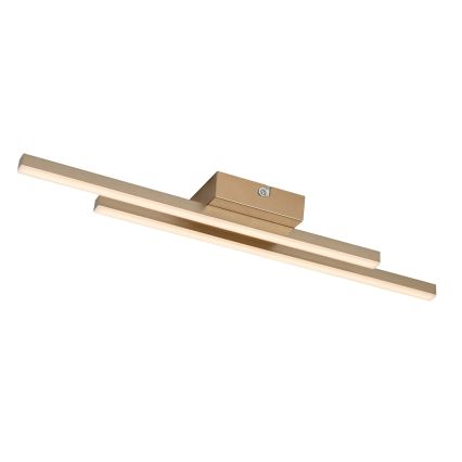 Rabalux - LED-Deckenleuchte LED/12W/230V 3000K goldfarben