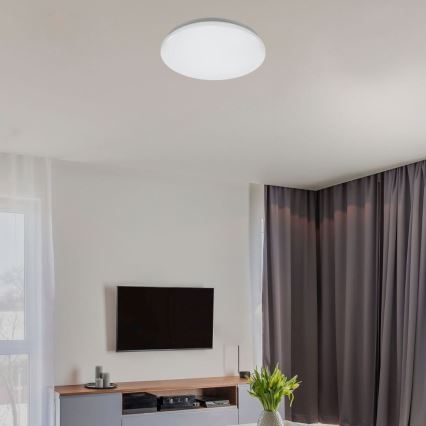 Rabalux - LED-Deckenleuchte, 12 W, 230 V, 4000 K, Ø 25,5 cm