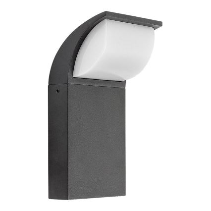 Rabalux - LED Außenwandleuchte LED/9W/230V IP65
