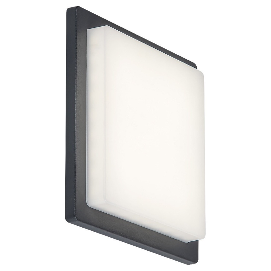 Rabalux - LED-Außenwandleuchte LED/8W/230V IP65