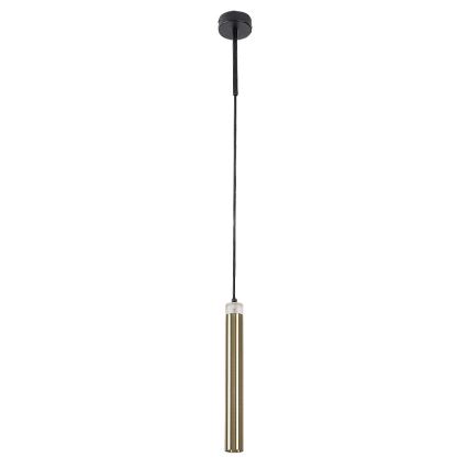Rabalux - LED-Hängeleuchte an Schnur LED/10W/230V 4000K schwarz/golden