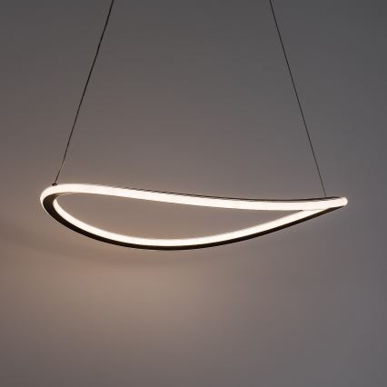 Rabalux - Dimmbarer LED-Pendelleuchter mit Seilaufhängung LED/45W/230V 3000-6500K + Fernbedienung