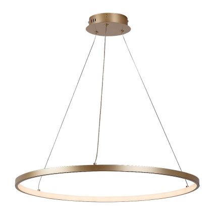 Rabalux - LED-Pendelleuchte am Kabel LED/55W/230V 3000K