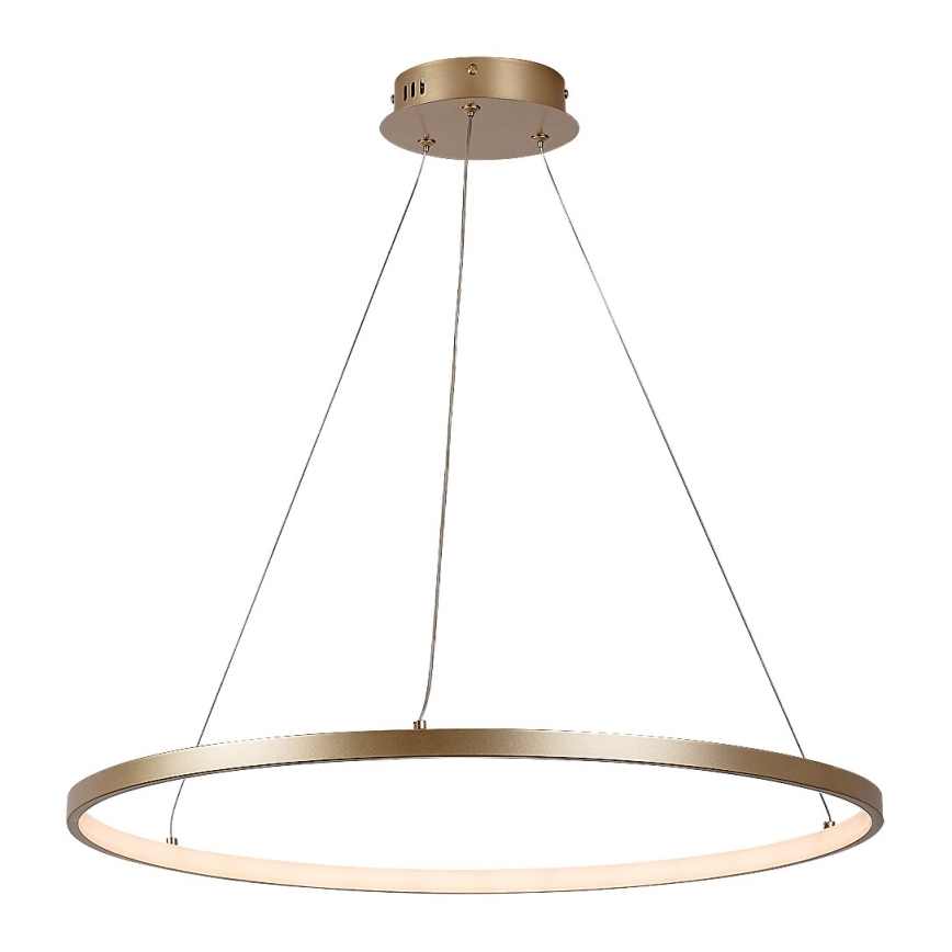 Rabalux - LED-Pendelleuchte am Kabel LED/55W/230V 3000K