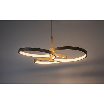 Rabalux - LED-dimmbare Pendelleuchte an Kabel LED/50W/230V 3000-6500K + Fernbedienung