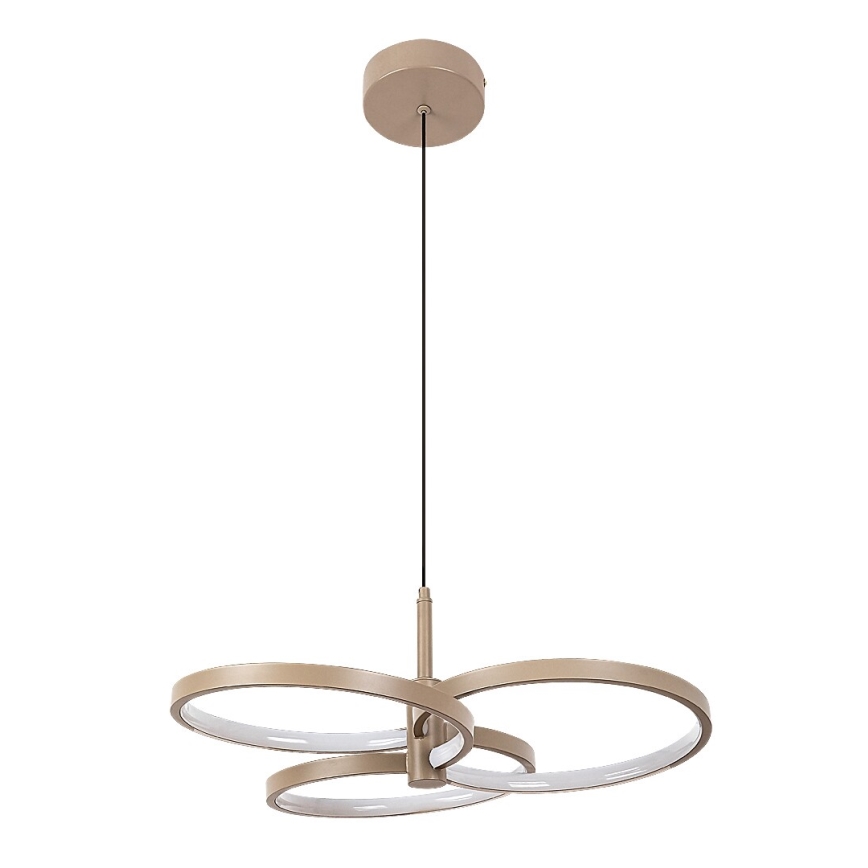Rabalux - LED-dimmbare Pendelleuchte an Kabel LED/50W/230V 3000-6500K + Fernbedienung