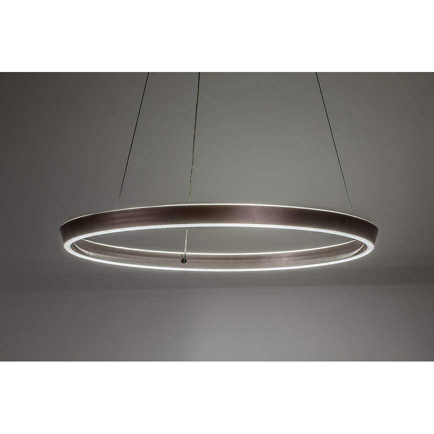 Rabalux - dimmbare LED-Pendelleuchte mit Kabelaufhängung LED/36W/230V 3000-6500K + Fernbedienung