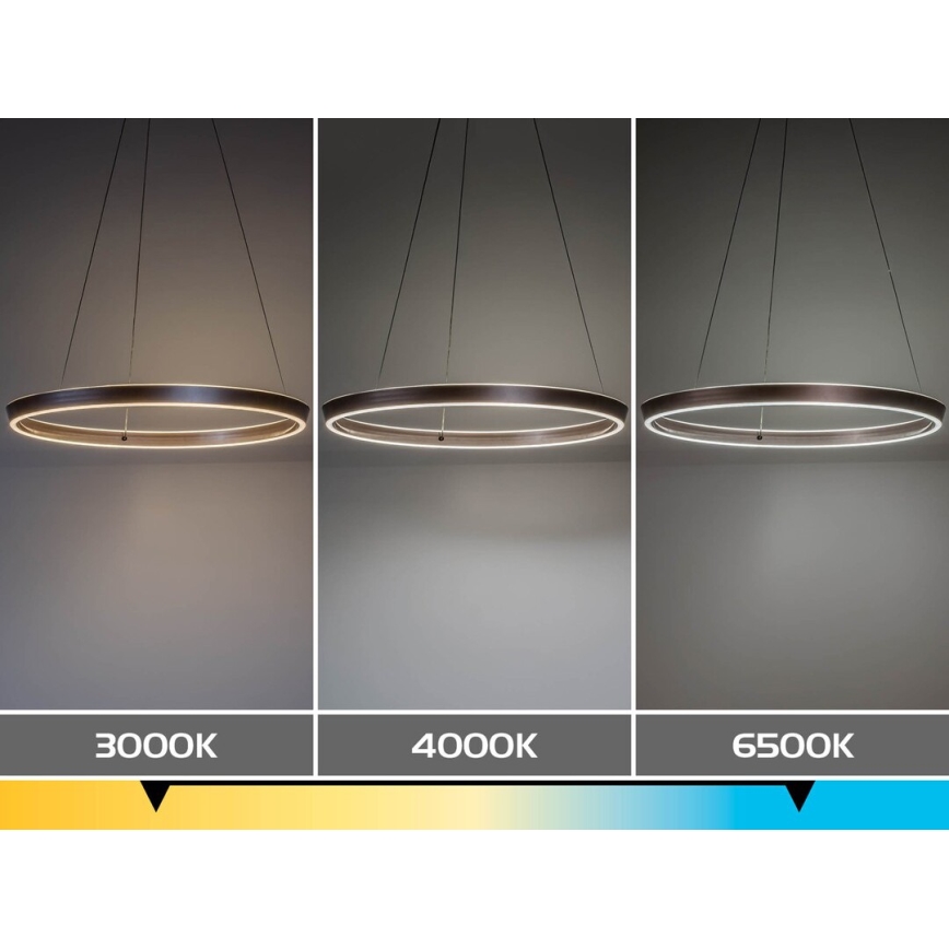 Rabalux - dimmbare LED-Pendelleuchte mit Kabelaufhängung LED/36W/230V 3000-6500K + Fernbedienung
