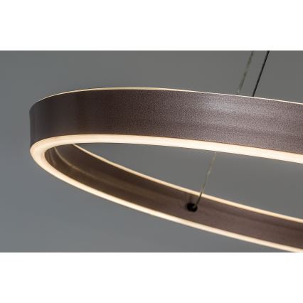 Rabalux - dimmbare LED-Pendelleuchte mit Kabelaufhängung LED/36W/230V 3000-6500K + Fernbedienung