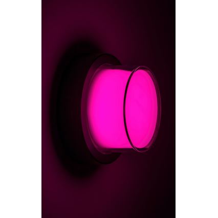 Rabalux - Dimmbare LED-RGBW-Außenwandleuchte LED/10W/230V IP54 Wi-Fi Tuya