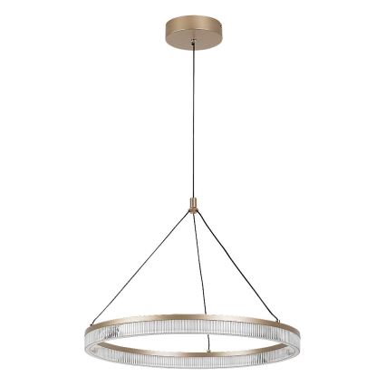 Rabalux - dimmbare Pendelleuchte an Kabel LED/24W/230V 3000-6500K + Fernbedienung