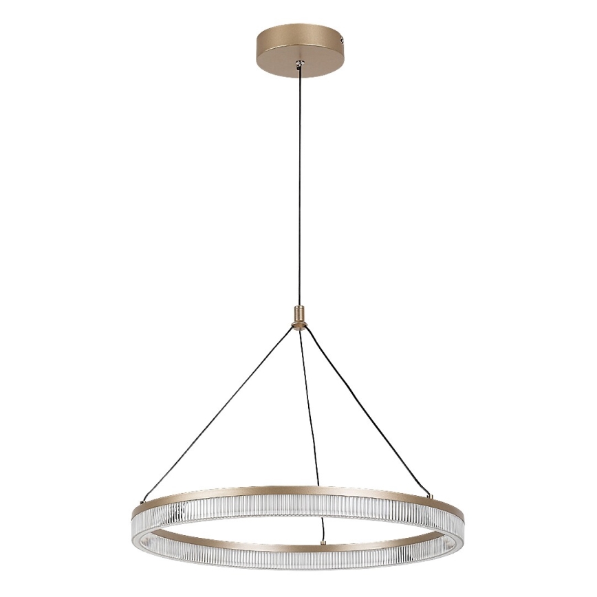 Rabalux - dimmbare Pendelleuchte an Kabel LED/24W/230V 3000-6500K + Fernbedienung
