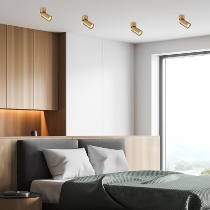 Rabalux - Strahler 1xGU10/5W/230V golden