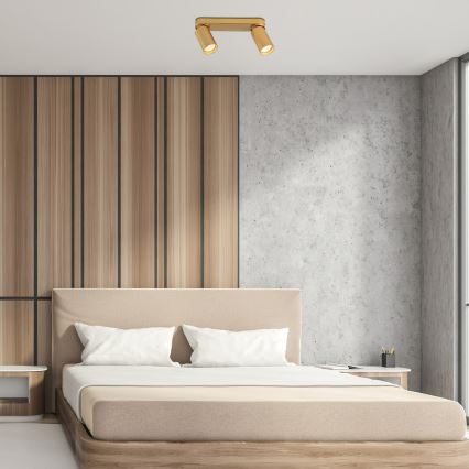Rabalux - Strahler 2xGU10/5W/230V golden