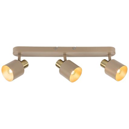 Rabalux - Spotleuchte 3xE14/10W/230V beige