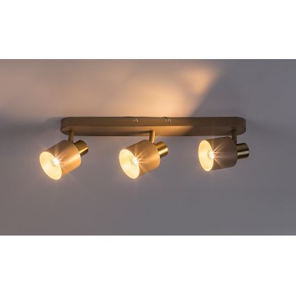 Rabalux - Spotleuchte 3xE14/10W/230V beige