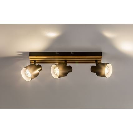 Rabalux - Spotleuchte 3xE14/10W/230V