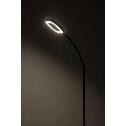 Rabalux - Dimmbare LED-Stehleuchte LED/11W/230V 3000K