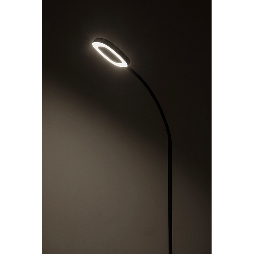 Rabalux - LED dimmbare Stehleuchte mit Touchfunktion LED/11W/230V 3000K