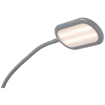 Rabalux - Dimmbare LED-Stehlampe mit Touch-Funktion LED/10W/230V 3000-6000K grau