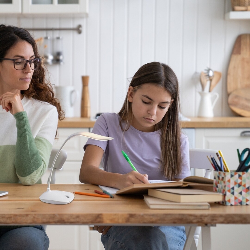 Rabalux - dimmbare flexible LED-Schreibtischlampe LED/2W/5V weiß