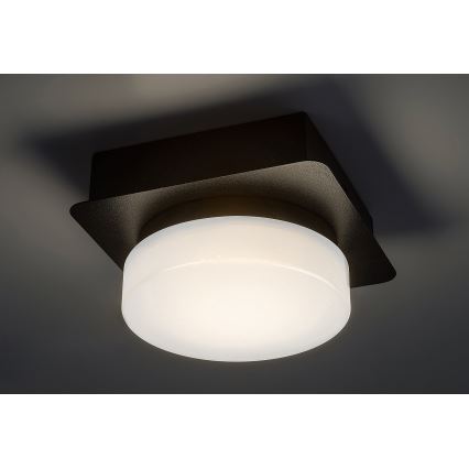 Rabalux - LED-Deckenleuchte für das Badezimmer LED/5W/230V IP44 4000K schwarz