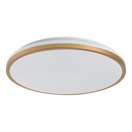 Rabalux - LED-Badezimmer-Deckenleuchte LED/18W/230V IP44 Ø 34 cm