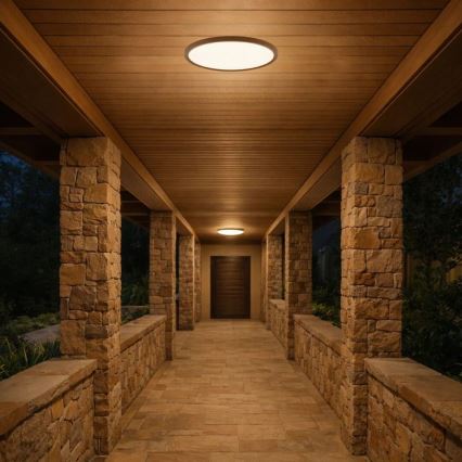 Rabalux - LED-Bad-Deckenleuchte, 18 W, 230 V, 3000/4000/6000 K (wählbar), Ø 29 cm, IP44, braun