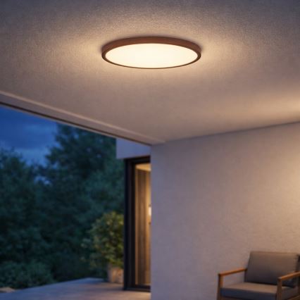 Rabalux - LED-Deckenleuchte für Badezimmer, 24W, 230V, 3000/4000/6000K, Ø 40 cm, IP44, braun