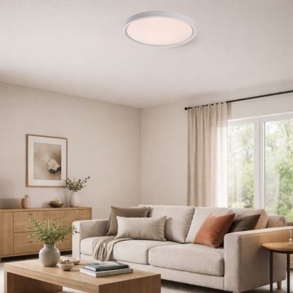 Rabalux - LED-dimmbare Deckenleuchte LED/31W/230V IP40 3000–6500K Ø 41,5 cm + Fernbedienung