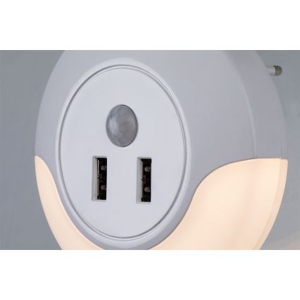 Rabalux - LED Nachtlicht mit Sensor für Steckdose 2xUSB LED/13,9W/230V 3000K