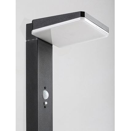 Rabalux - LED dimmbare solarbetriebene Außenleuchte mit Sensor LED/4,4W/3,7V IP54 Anthrazit 2200 mAh