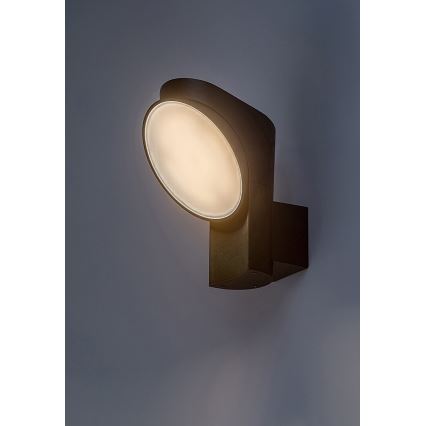 Rabalux - LED-Outdoor-Wandleuchte LED/12W/230V IP54