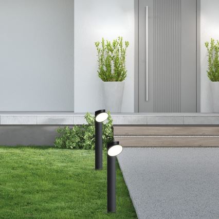 Rabalux - LED-Außenleuchte LED/12W/230V IP54