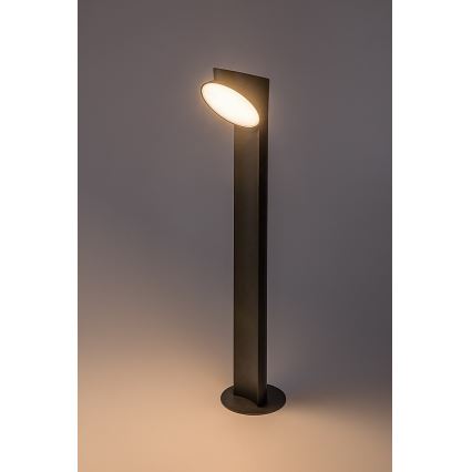 Rabalux - LED-Außenleuchte LED/12W/230V IP54
